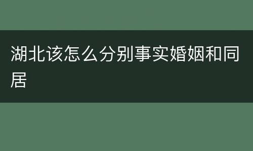 湖北该怎么分别事实婚姻和同居