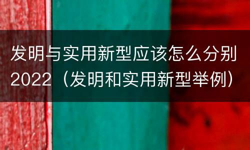 发明与实用新型应该怎么分别2022（发明和实用新型举例）