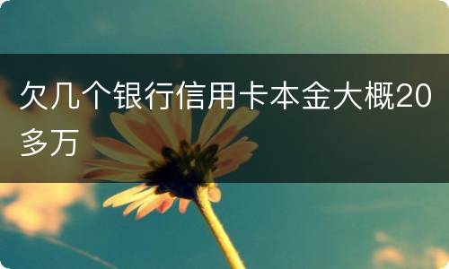 欠几个银行信用卡本金大概20多万