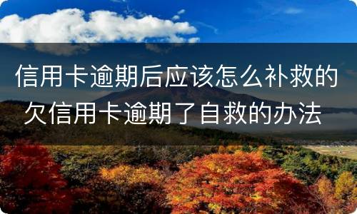 信用卡逾期后应该怎么补救的 欠信用卡逾期了自救的办法