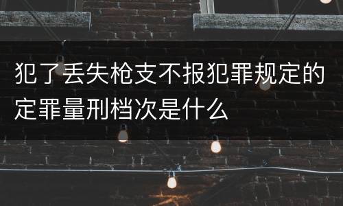 犯了丢失枪支不报犯罪规定的定罪量刑档次是什么