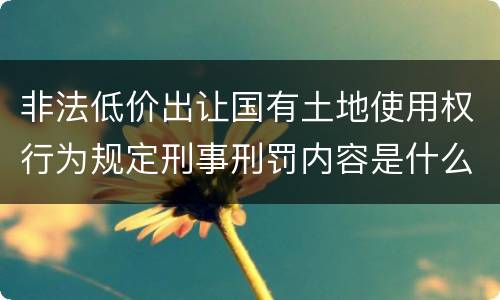 非法低价出让国有土地使用权行为规定刑事刑罚内容是什么样