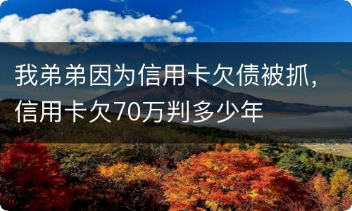 我弟弟因为信用卡欠债被抓，信用卡欠70万判多少年