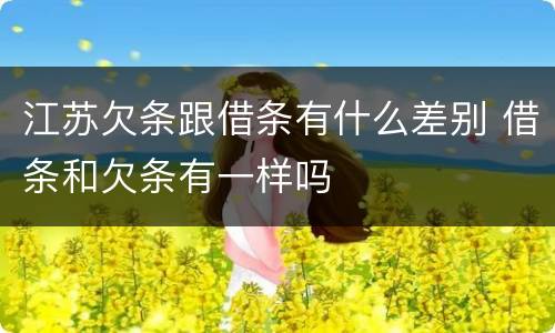 江苏欠条跟借条有什么差别 借条和欠条有一样吗