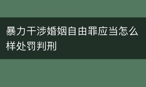 暴力干涉婚姻自由罪应当怎么样处罚判刑
