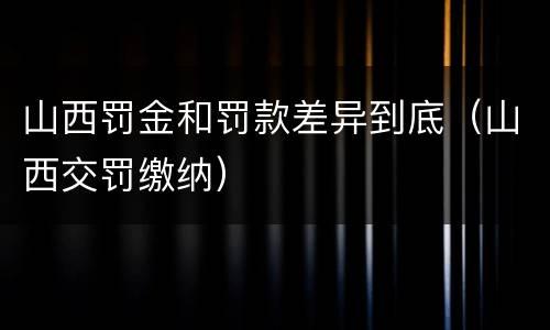 山西罚金和罚款差异到底（山西交罚缴纳）