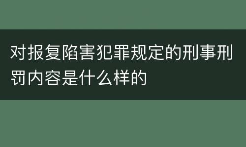 对报复陷害犯罪规定的刑事刑罚内容是什么样的