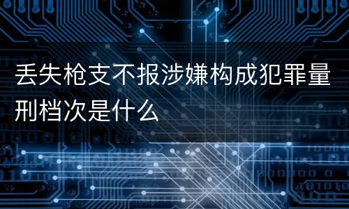 丢失枪支不报涉嫌构成犯罪量刑档次是什么