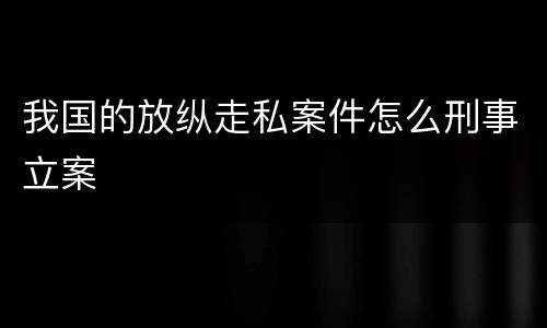 我国的放纵走私案件怎么刑事立案