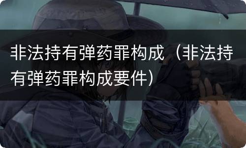 非法持有弹药罪构成（非法持有弹药罪构成要件）