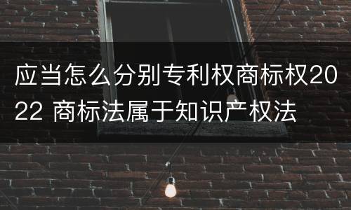 应当怎么分别专利权商标权2022 商标法属于知识产权法