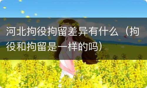 河北拘役拘留差异有什么（拘役和拘留是一样的吗）