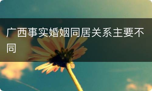 广西事实婚姻同居关系主要不同