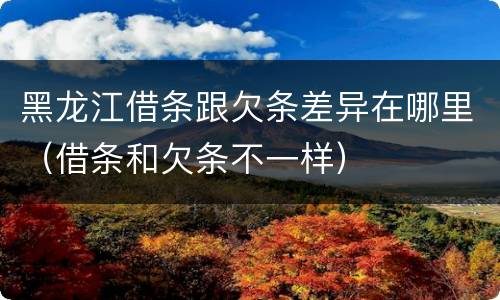 黑龙江借条跟欠条差异在哪里（借条和欠条不一样）