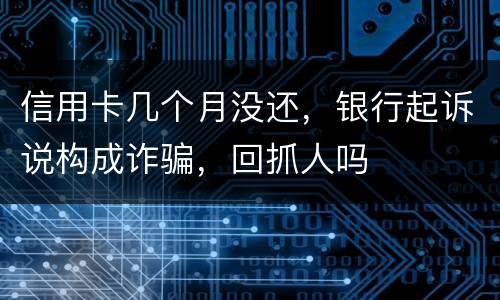 信用卡几个月没还，银行起诉说构成诈骗，回抓人吗