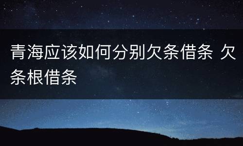 青海应该如何分别欠条借条 欠条根借条
