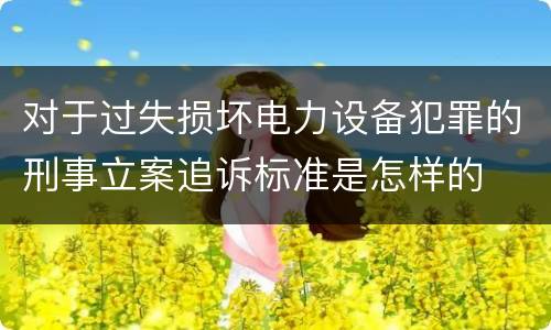 对于过失损坏电力设备犯罪的刑事立案追诉标准是怎样的