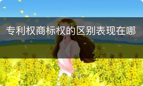 专利权商标权的区别表现在哪
