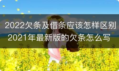 2022欠条及借条应该怎样区别 2021年最新版的欠条怎么写