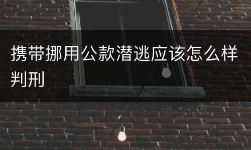 携带挪用公款潜逃应该怎么样判刑