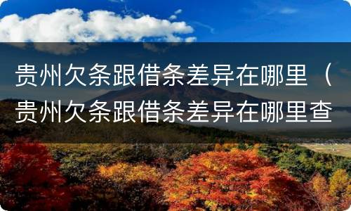 贵州欠条跟借条差异在哪里（贵州欠条跟借条差异在哪里查询）