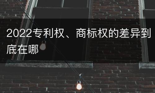2022专利权、商标权的差异到底在哪
