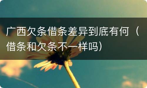 广西欠条借条差异到底有何（借条和欠条不一样吗）