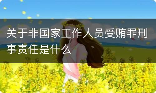 关于非国家工作人员受贿罪刑事责任是什么