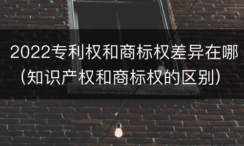 2022专利权和商标权差异在哪（知识产权和商标权的区别）