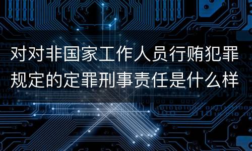 对对非国家工作人员行贿犯罪规定的定罪刑事责任是什么样的