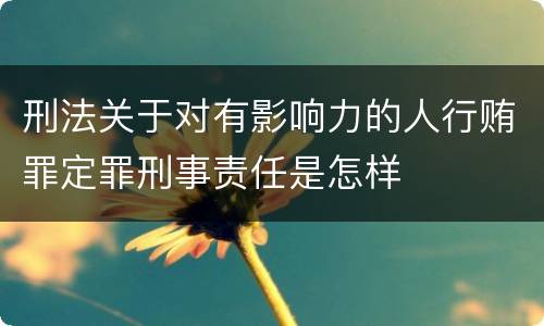 刑法关于对有影响力的人行贿罪定罪刑事责任是怎样