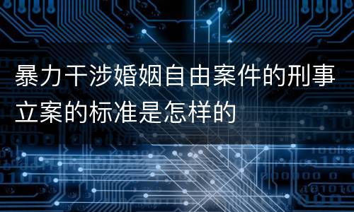 暴力干涉婚姻自由案件的刑事立案的标准是怎样的