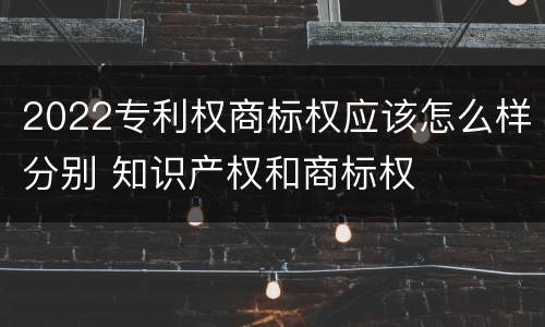 2022专利权商标权应该怎么样分别 知识产权和商标权