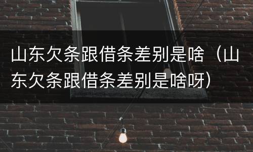 山东欠条跟借条差别是啥（山东欠条跟借条差别是啥呀）