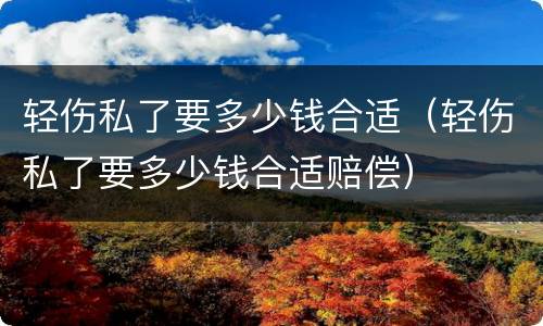 轻伤私了要多少钱合适（轻伤私了要多少钱合适赔偿）