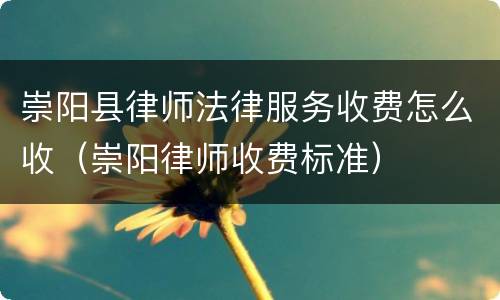 崇阳县律师法律服务收费怎么收（崇阳律师收费标准）