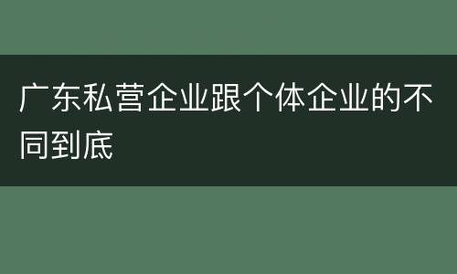 广东私营企业跟个体企业的不同到底