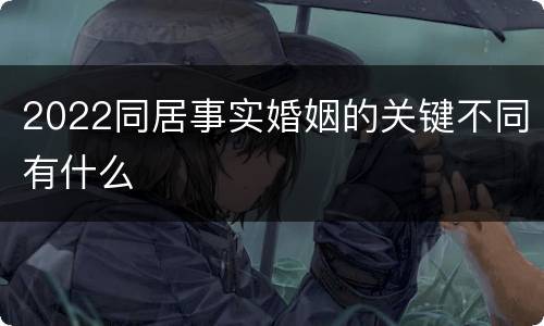 2022同居事实婚姻的关键不同有什么