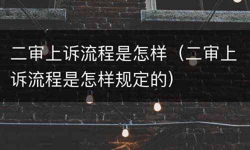 二审上诉流程是怎样（二审上诉流程是怎样规定的）
