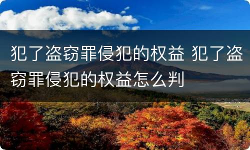 犯了盗窃罪侵犯的权益 犯了盗窃罪侵犯的权益怎么判