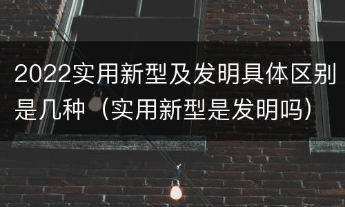 2022实用新型及发明具体区别是几种（实用新型是发明吗）