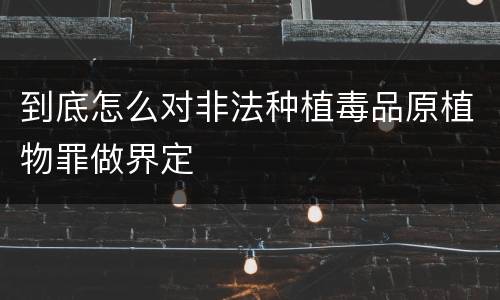 到底怎么对非法种植毒品原植物罪做界定
