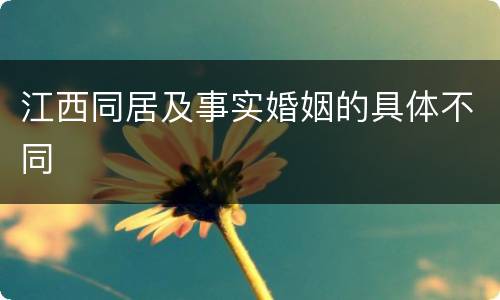 江西同居及事实婚姻的具体不同