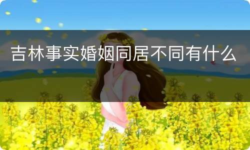 吉林事实婚姻同居不同有什么