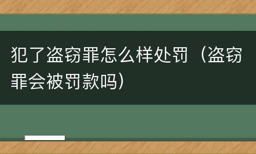 犯了盗窃罪怎么样处罚（盗窃罪会被罚款吗）