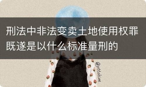 刑法中非法变卖土地使用权罪既遂是以什么标准量刑的