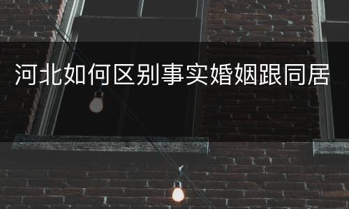 河北如何区别事实婚姻跟同居