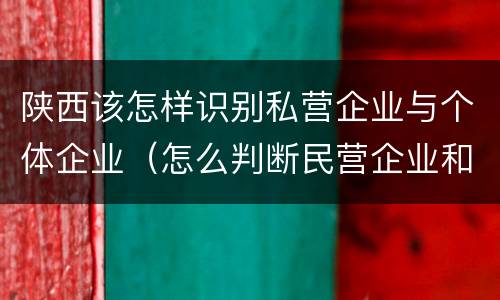 陕西该怎样识别私营企业与个体企业（怎么判断民营企业和私营企业）