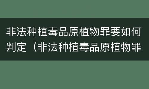 非法种植毒品原植物罪要如何判定（非法种植毒品原植物罪中的种植行为）