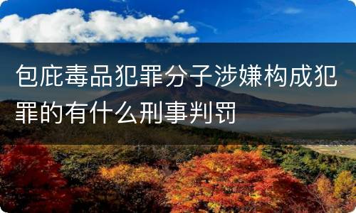 包庇毒品犯罪分子涉嫌构成犯罪的有什么刑事判罚